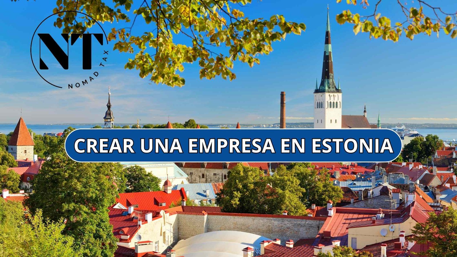 ventajas de crear una empresa en estonia